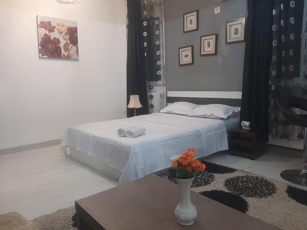 شقة بوخارست  في Studio Calea Victoriei المظهر الخارجي الصورة